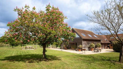 Property building, Garden, Garden view