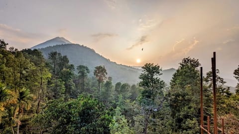 Mountain view, Sunset