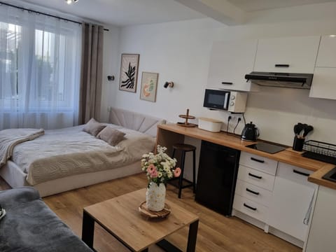 Bed, Kitchen or kitchenette, Photo of the whole room, Dining area, Bedroom, pet friendly