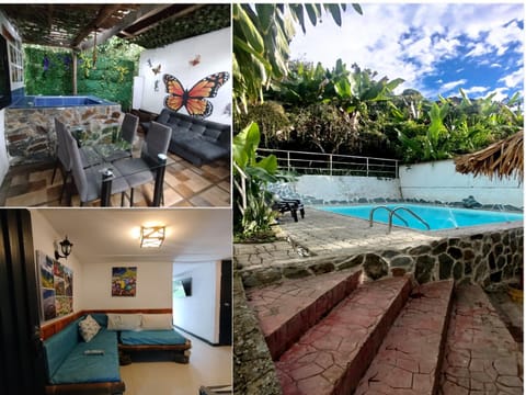 Patio, Garden view, Swimming pool, sunbed