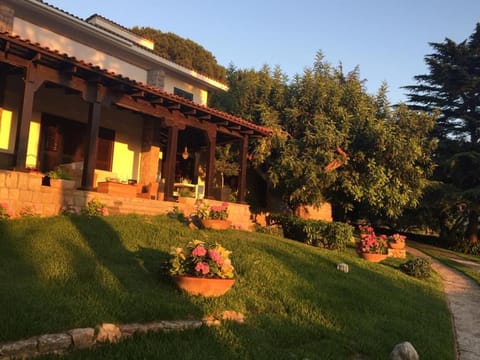 Property building, Garden, Balcony/Terrace