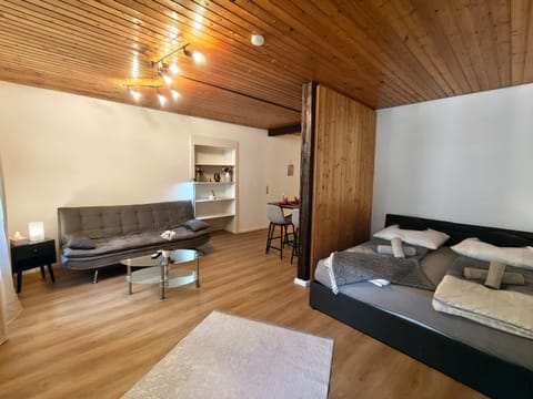 Bed, Living room, Photo of the whole room, Seating area, towels