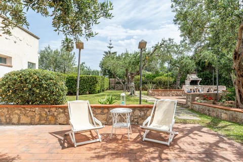 Patio, Garden, Garden view
