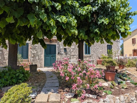 View (from property/room), Garden view