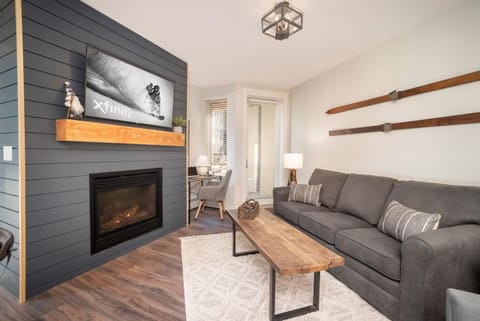 Day, TV and multimedia, Living room, Seating area, fireplace, furniture