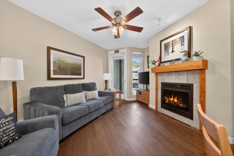 Day, TV and multimedia, Living room, fireplace, furniture