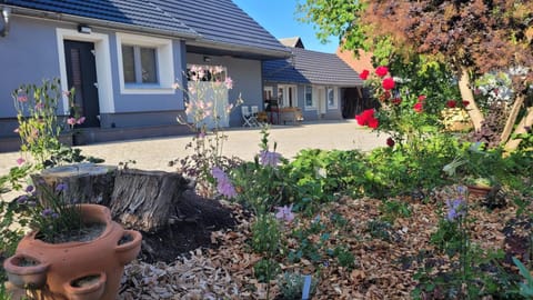 Property building, Garden view