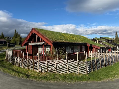 Property building, Spring, Day, Garden