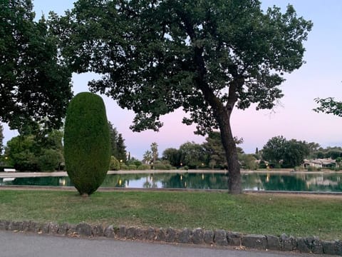 Lake view
