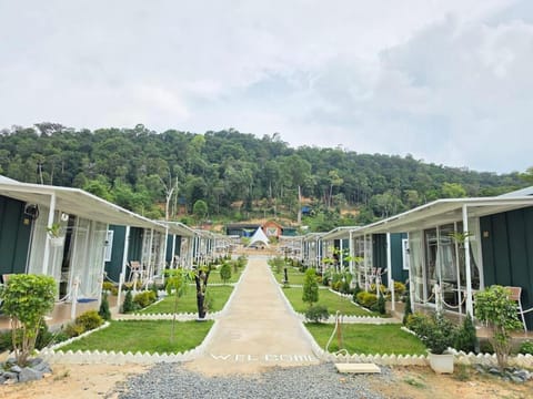 Property building, Spring, Day, Neighbourhood, Natural landscape, Garden, Garden view, Mountain view, Street view