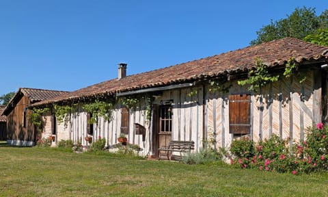 Property building, Garden, Garden view