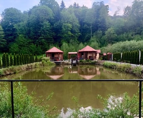 Property building, Fishing
