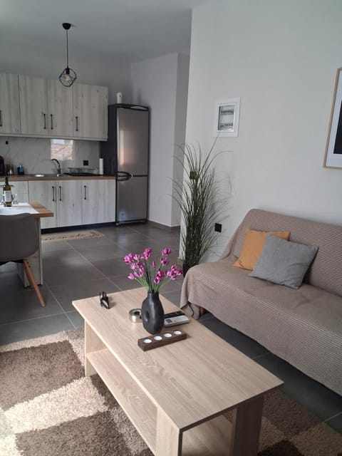 Kitchen or kitchenette, Living room, Dining area