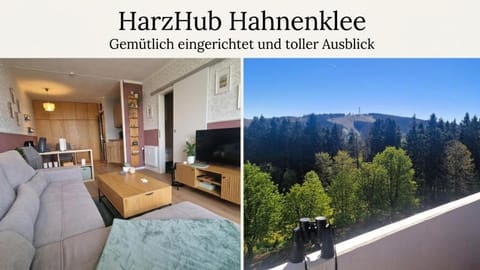 Balcony/Terrace, Living room