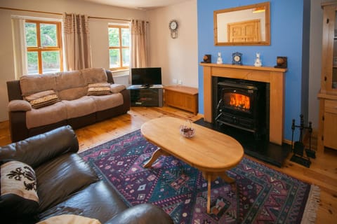 TV and multimedia, Living room, Seating area, fireplace, flat iron