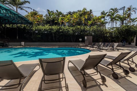 Pool view, Swimming pool, sunbed
