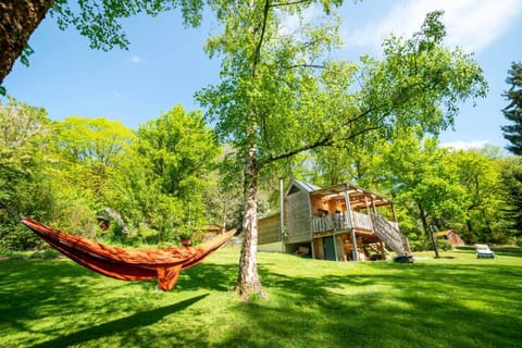 Property building, Spring, Day, Natural landscape, Garden, Garden view, sunbed