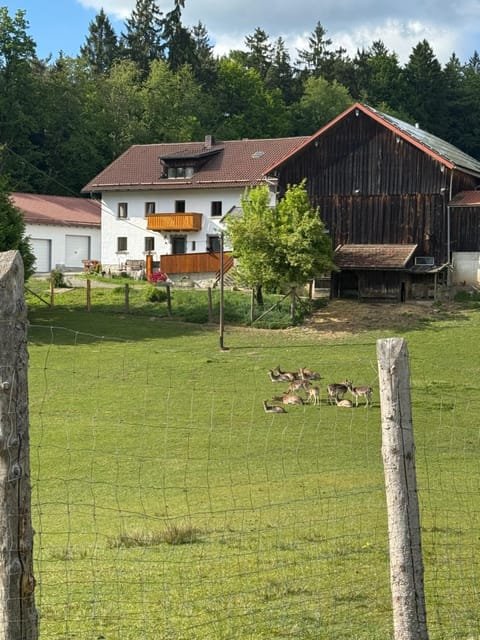 Property building, Natural landscape