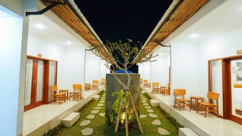 Patio, Night, Garden, Garden view