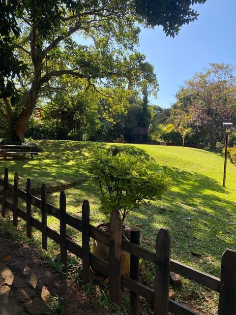 Day, Garden, Garden view