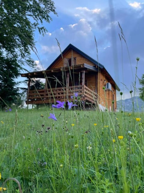 Property building, Garden view
