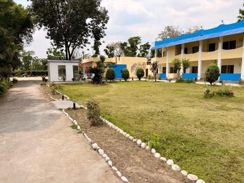 Day, Garden, Garden view