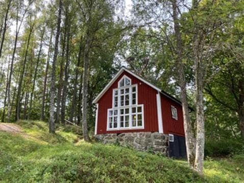 Natural landscape, Garden