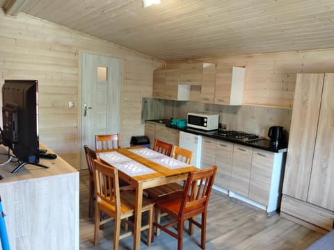 Kitchen or kitchenette, Dining area, oven, stove