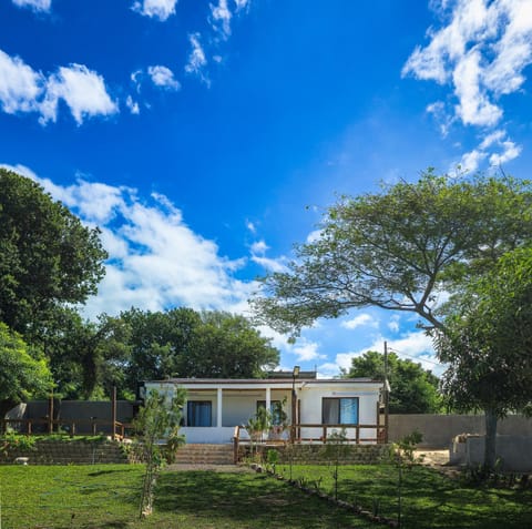 Property building, Garden