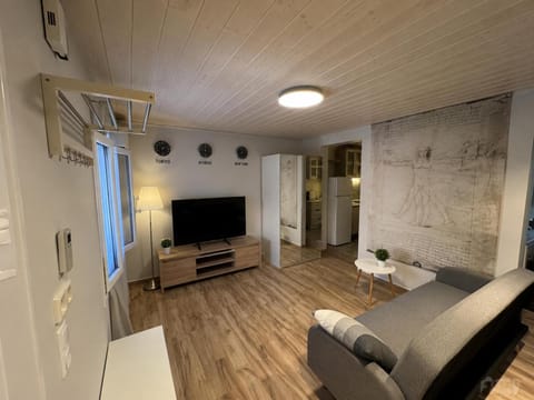 TV and multimedia, Living room, Photo of the whole room, Seating area, Evening entertainment