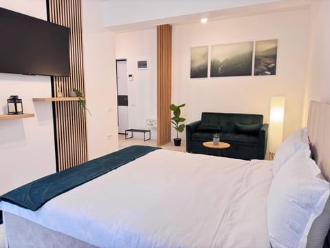 Bed, TV and multimedia, Living room, Bedroom