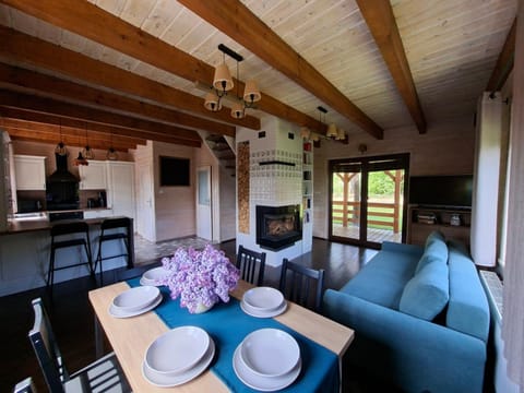 TV and multimedia, Living room, fireplace