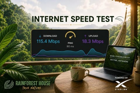 internet