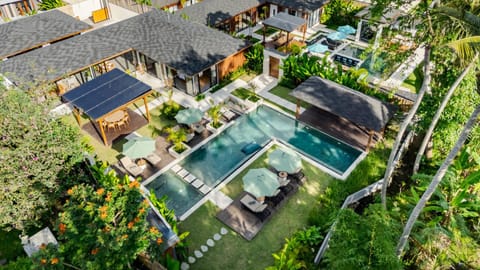 Property building, Day, Bird's eye view, Garden view, Pool view, Swimming pool, sunbed