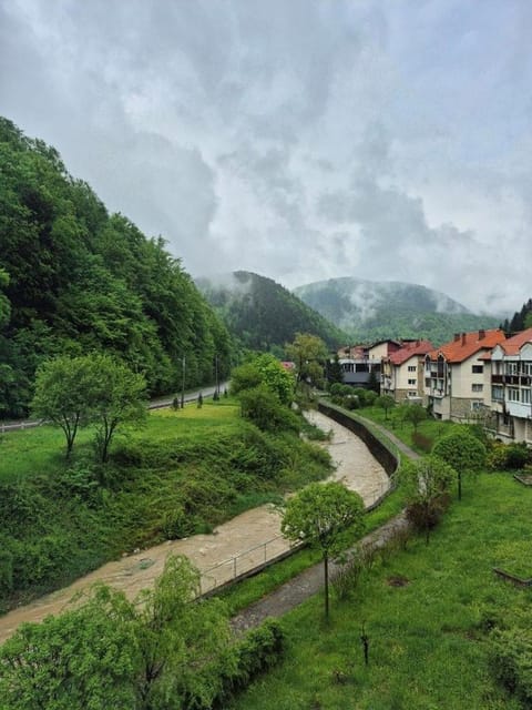 Natural landscape, Mountain view, River view