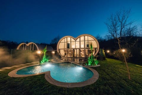 Property building, Night, Natural landscape, Garden, Garden view, Pool view, Swimming pool