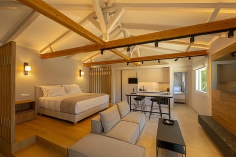 Bed, TV and multimedia, Living room, Photo of the whole room, Seating area, Bedroom