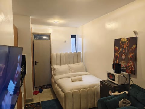 Communal lounge/ TV room