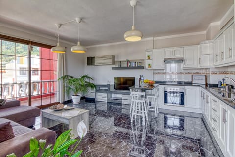 Kitchen or kitchenette, Dining area, oven, stove