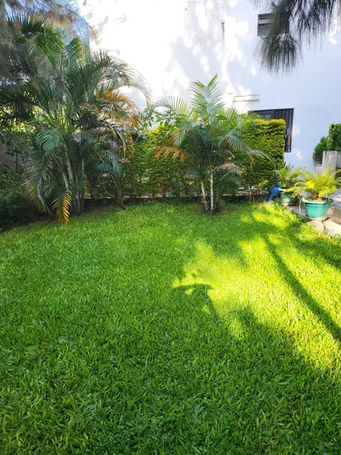 Garden view