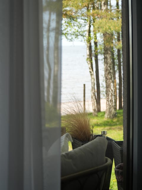Day, Garden, Garden view