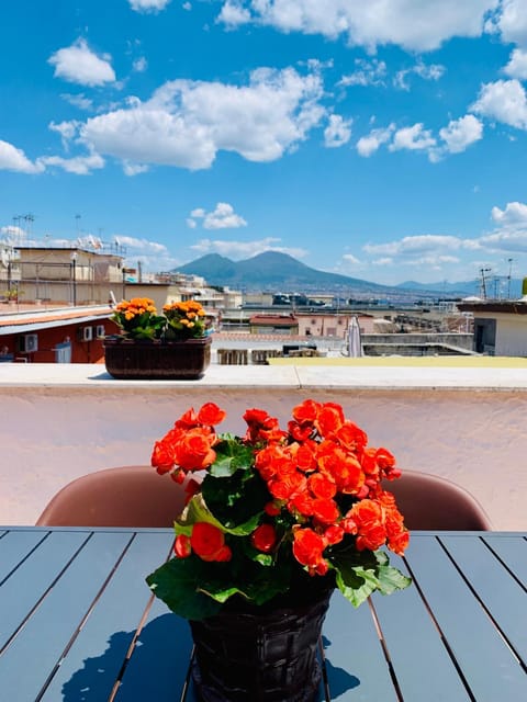 Natural landscape, Solarium, Balcony/Terrace, City view