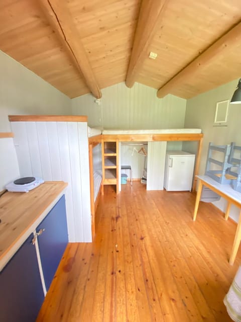 Bed, Kitchen or kitchenette, Photo of the whole room, Bedroom, bunk bed