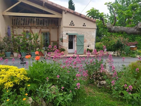 Property building, Garden, Garden view