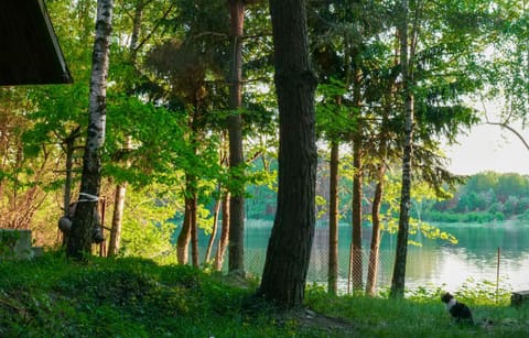 Lake view