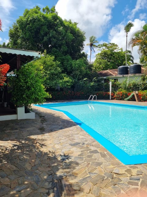 Garden, Pool view, Swimming pool, sunbed