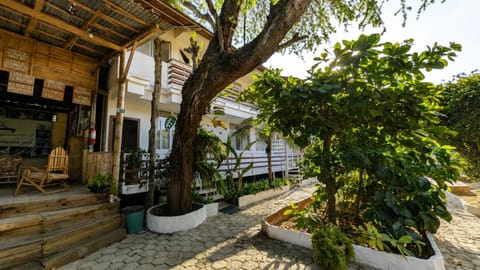Property building, Patio, Day, Garden, Garden view