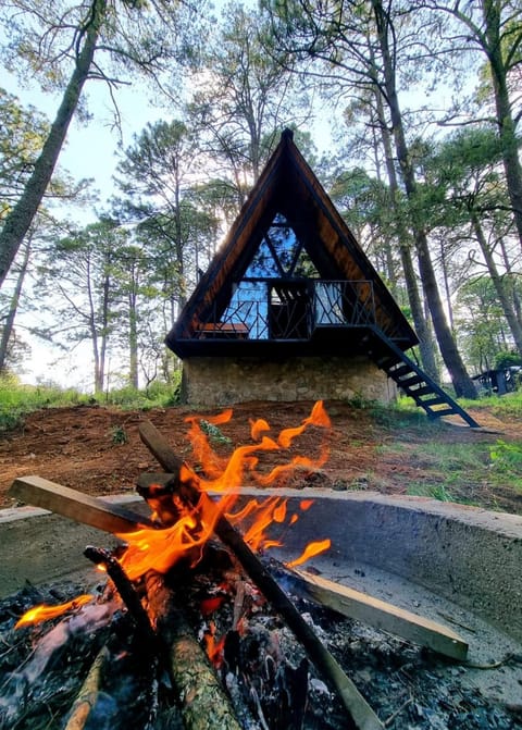 Facade/entrance, Natural landscape