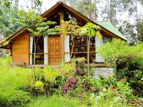 Property building, Spring, Natural landscape, Garden, Garden view
