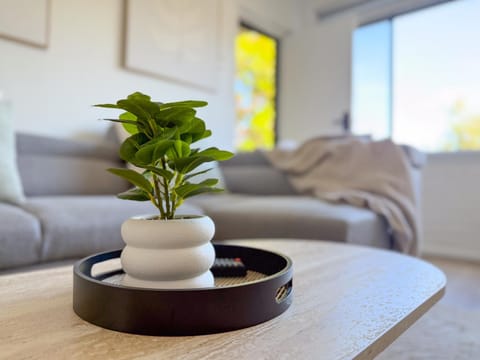 Living room, Decorative detail, Seating area